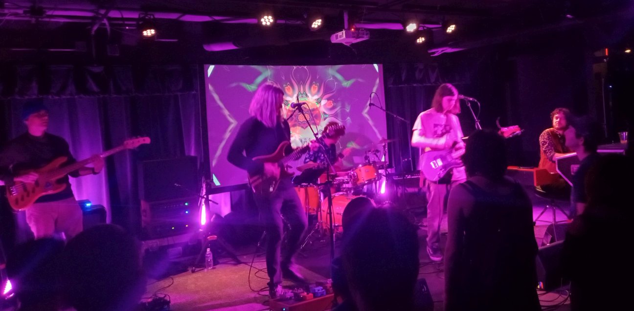 MindLeftBodyTheGiantsHarp2025-12-31GDTributeAmherstMA (2).jpg